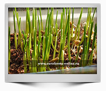 Emisiune-5---Schimbari-climatice-in-agricultura