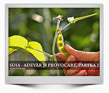 Emisiune-3-2021---Soia-adevar-si-provocare-2