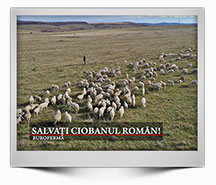 Emisiune-45-2021---Salvati-ciobanul-roman---HD-1080-25p