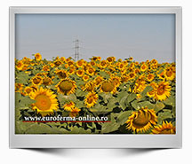 Emisiune-29-2022---Agricultura-si-schimbarile-ei---HD-1080-25p
