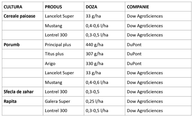 Ambrozia_articol-5